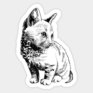 kitten Sticker